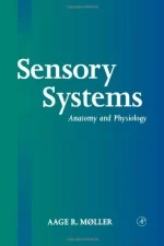Sensory Systems: Anatomy and Physiology