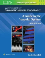 A Guide to the Vascular System