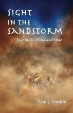 Sight in the Sandstorm: Jesus in His World and Mine
