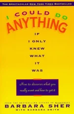 I Could Do Anything if I Only Knew What It Was