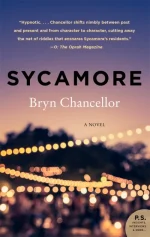 Sycamore