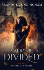 Valkyrie Divided