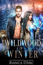 Wildwood in Winter