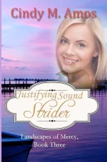 Justifying Sound Strider