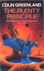 The Plenty Principle