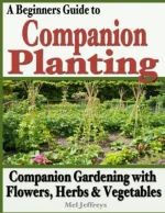 A Beginners Guide to Companion Planting: Companion Gardening With Flowers, Herbs & Vegetables