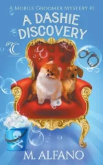 A Dashie Discovery