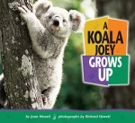 A Koala Joey Grows Up