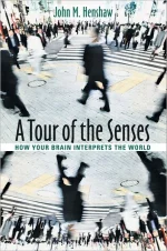 A Tour of the Senses: How Your Brain Interprets the World