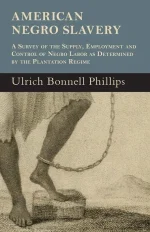 American Negro Slavery