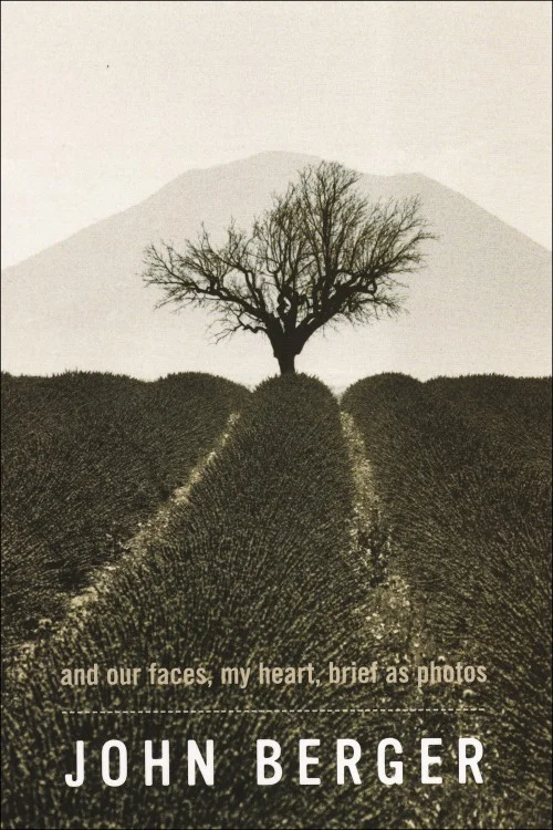 And Our Faces, My Heart, Brief as Photos