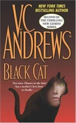 Black Cat