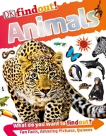 DKfindout! Animals