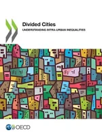 Divided Cities Understanding Intra-Urban Inequalities