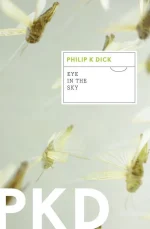 Eye in the Sky