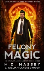 Felony Magic