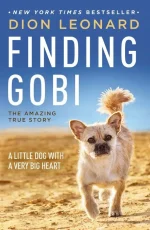 Finding Gobi: A Little Dog With a Very Big Heart