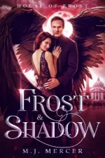 Frost & Shadow