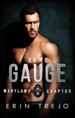 Gauge
