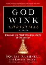 Godwink Christmas Stories