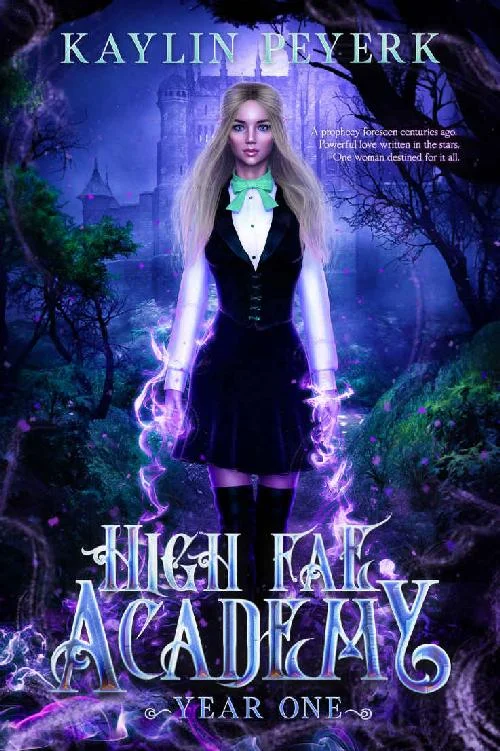 High Fae Academy - Year One