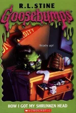How I Got My Shrunken Head
