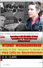 Internet Microaggression: Hate Cults vs. Neorevisionism