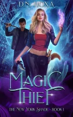 Magic Thief
