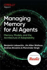 Managing Memory for AI Agents
