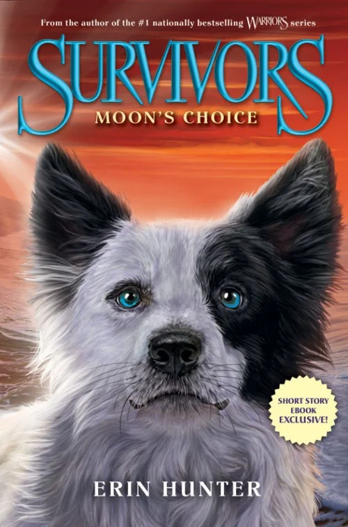 Moon's Choice