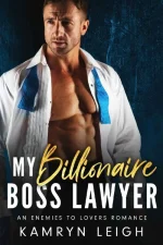 My Billionaire Boss Lawyer