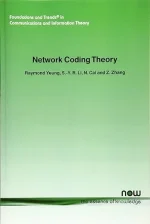 Network Coding Theory