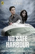 No Safe Harbour