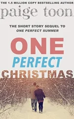 One Perfect Christmas
