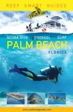 Palm Beach: Scuba Dive. Snorkel. Surf.