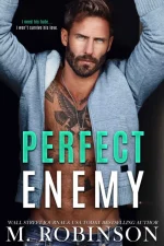 Perfect Enemy