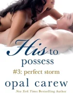 Perfect Storm