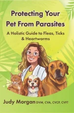 Protecting Your Pets From Parasites