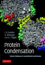 Protein Condensation: Kinetic Pathways to Crystallization and Disease