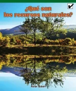 Que Son Los Recursos Naturales?