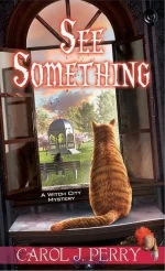 See Something