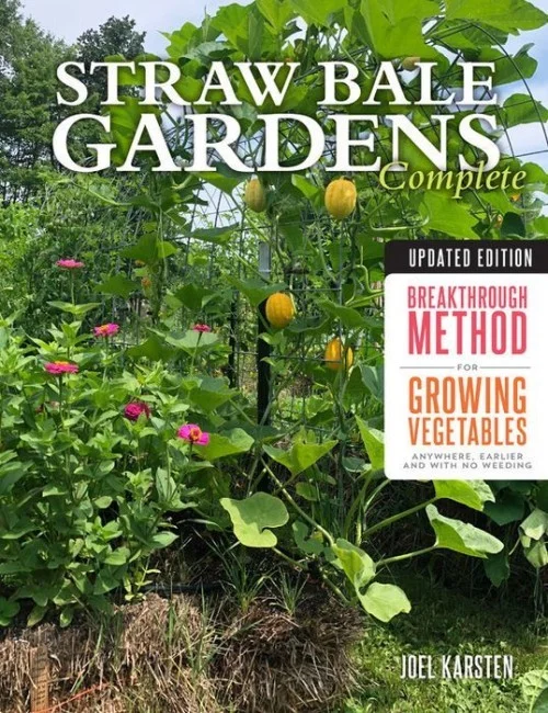 Straw Bale Gardens Complete