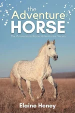 The Adventure Horse