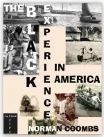 The Black Experience in America