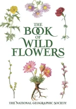 The Book of Wild Flowers