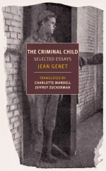 The Criminal Child: Selected Essays