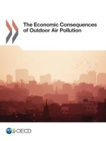 The Economic Consequences of Outdoor Air Pollution