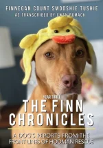 The Finn Chronicles: Year Three