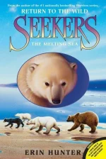 The Melting Sea