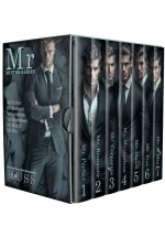 The Mister Box Set